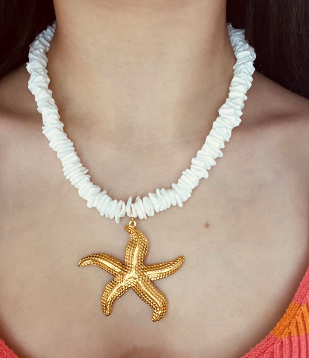 Colar Artesanal em Concha e Estrela do Mar em Aço